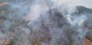 Reporta Michoacán, 824 incendios forestales en lo que va del año