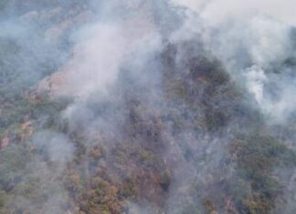 Reporta Michoacán, 824 incendios forestales en lo que va del año
