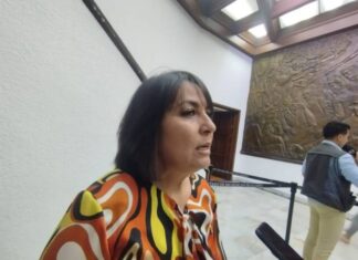 PAN deberá entrar en periodo de reflexión sobre las elecciones 2024: Larissa Pérez