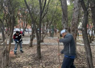 Realizan jornada de limpieza integral en la colonia Cosmos