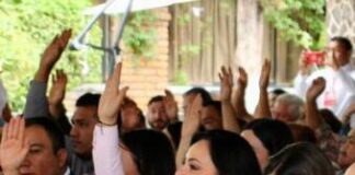 El PRI requiere una profunda reflexión y reestructuración: Adriana Hernández