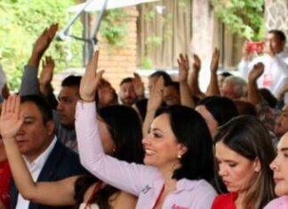 El PRI requiere una profunda reflexión y reestructuración: Adriana Hernández