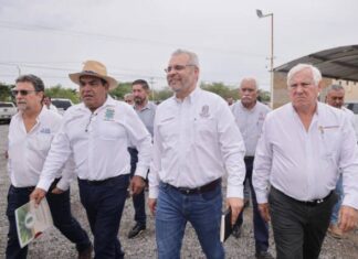 Agradece Bedolla a AMLO visión agropecuaria para el desarrollo del campo