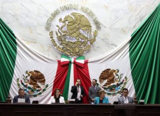 Centros asistenciales y de reinserción social, con pleno respeto a derechos humanos: 75 Legislatura