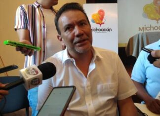 Tortugas marinas empiezan su arribo a playas de Michoacán