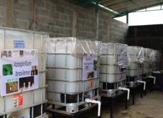 PRODUCTORES DE CHARAPAN PONEN EN OPERACIÓN BIOFÁBRICA PARA FORTALECER SUS CULTIVOS