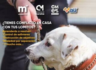 COLEGIO DE MORELIA ABRE TALLERES PARA EL BIENESTAR ANIMAL