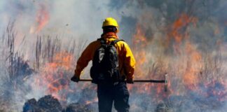 LA INCANSABLE LUCHA CONTRA EL FUEGO DE LOS BRIGADISTAS FORESTALES