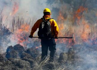 LA INCANSABLE LUCHA CONTRA EL FUEGO DE LOS BRIGADISTAS FORESTALES