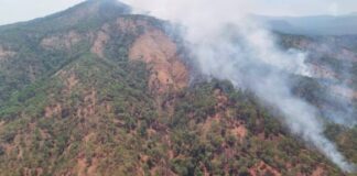 Por tierra y aire atienden incendio forestal en cerro de la Cruz