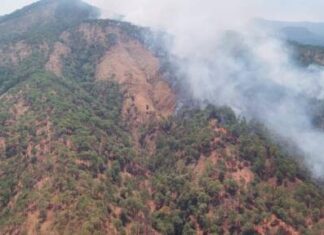 Por tierra y aire atienden incendio forestal en cerro de la Cruz