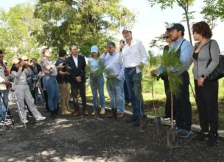 MEDIO AMBIENTE ES RESPONSABILIDAD DE TODOS; LLAMA PONCHO MARTÍNEZ A CUIDAR LAS ZONAS VERDES DE LA CIUDAD