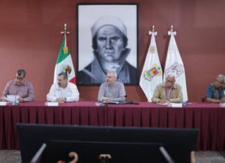 HABRÁ CERTIFICACIÓN DE HUERTAS DE AGUACATE; ESTIMAN QUE MÁS DE 3 MIL ESTÁN EN LA ILEGALIDAD