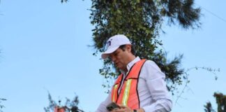 ALFONSO MARTÍNEZ SUPERVISA PODA SANITARIA DE ÁRBOLES EN AV. CAMELINAS