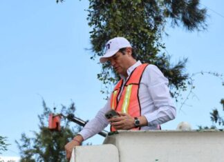 ALFONSO MARTÍNEZ SUPERVISA PODA SANITARIA DE ÁRBOLES EN AV. CAMELINAS