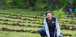 Encabeza Alfonso Martínez jornada de reforestación