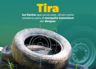 Sigue estas recomendaciones de la SSM para prevenir el dengue