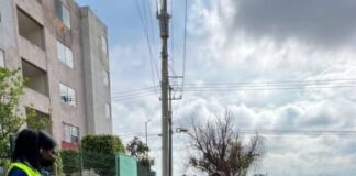Gobierno Municipal y vecinos realizan limpia en El Vergel