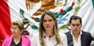 Reforma para Reconocer a los Animales como Víctimas de Delito en Michoacán, propone Daniela De Los Santos y GIDA