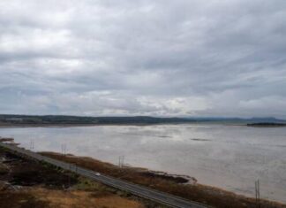 Para recuperar el lago de Cuitzeo se han invertido 200 mdp