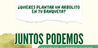 Gobierno de Morelia pone el árbol y tú elige la banqueta