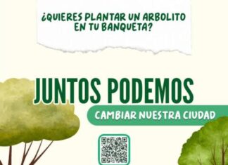 Gobierno de Morelia pone el árbol y tú elige la banqueta