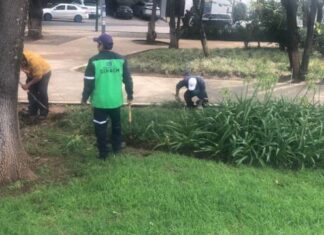 Continúa limpieza y embellecimiento de espacios públicos en Morelia