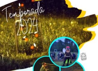 Tortugas, luciérnagas y leyendas te esperan este verano en Michoacán