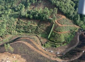 Presentará Michoacán, segundo paquete de denuncias ambientales
