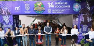 Impulsa gobierno de Alfonso Martínez economía de las 14 tenencias