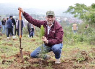 Bedolla arranca reforestación de un millón y medio de árboles en la cuenca del lago de Pátzcuaro