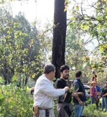 Michoacán recibe cerca de 23 mil plantas para reforestar bosques y cuencas