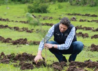 Gobierno Morelia, cerca de plantar 1 millón de árboles