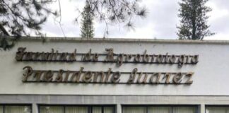 Investigador nicolaita crea obra para determinar el equilibrio rural