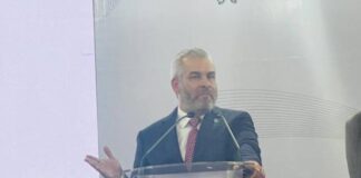 DESOVAN TORTUGAS EN COSTAS MICHOACANAS; ESTIMAN LIBERACIÓN DE 5 MILLONES DE CRÍAS