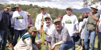 ¡TODOS, MANOS A LOS ÁRBOLES! BEDOLLA ARRANCA REFORESTACIÓN ESTATAL