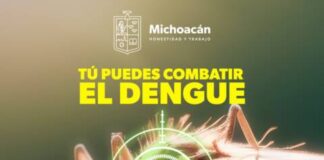 ¡AGUAS CON EL DENGUE! ESTOS FACTORES FAVORECEN SU DESARROLLO EN EL HOGAR