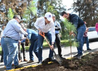NO HAY TIEMPO; DEBEMOS TRABAJAR TODAS Y TODOS POR EL MEDIO AMBIENTE: ALFONSO MARTÍNEZ