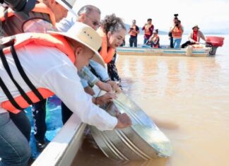 ARRANCA GOBIERNO ESTATAL SIEMBRA DE 50 MIL CRÍAS DE PESCADO BLANCO EN EL LAGO DE PÁTZCUARO