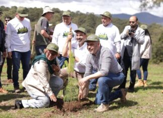 DETECTADOS, 900 PREDIOS CON DAÑOS AMBIENTALES