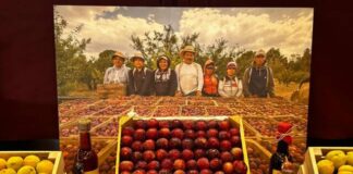 DISFRUTA LA RIQUEZA FRUTAL DE JERÁHUARO EN SU EXPO REGIONAL