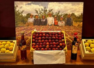 DISFRUTA LA RIQUEZA FRUTAL DE JERÁHUARO EN SU EXPO REGIONAL