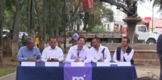 HABRÁ PODA SANITARIA EN MORELIA PARA EVITAR PLAGAS EN ÁRBOLES