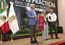 ANUNCIA BEDOLLA FIRMA DEL DECRETO PARA CERTIFICACIÓN CONTRA LA DEFORESTACIÓN EN MICHOACÁN