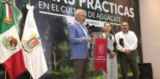 ANUNCIA BEDOLLA FIRMA DEL DECRETO PARA CERTIFICACIÓN CONTRA LA DEFORESTACIÓN EN MICHOACÁN