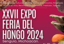 LLEGÓ “HONGOSTO” Y LA FERIA DE SENGUIO TE ESPERA CON MÁS DE 100 VARIEDADES