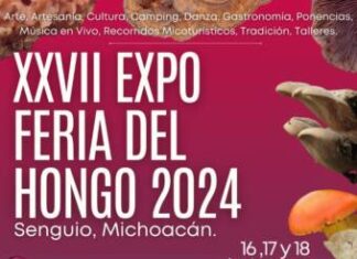 LLEGÓ “HONGOSTO” Y LA FERIA DE SENGUIO TE ESPERA CON MÁS DE 100 VARIEDADES