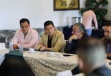 PARTIDO VERDE, A FAVOR DE COMBATIR DEFORESTACIÓN Y HUACHICOLEO DEL AGUA EN MICHOACÁN