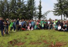 Arranca PVEM re forestación “un árbol por un voto”, comprometida el campaña