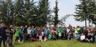 Arranca PVEM re forestación “un árbol por un voto”, comprometida el campaña